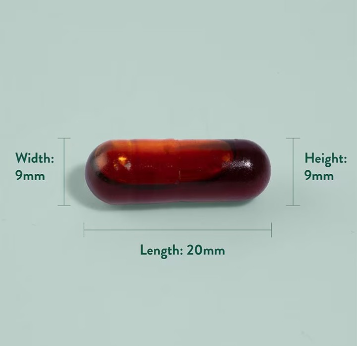 First slide